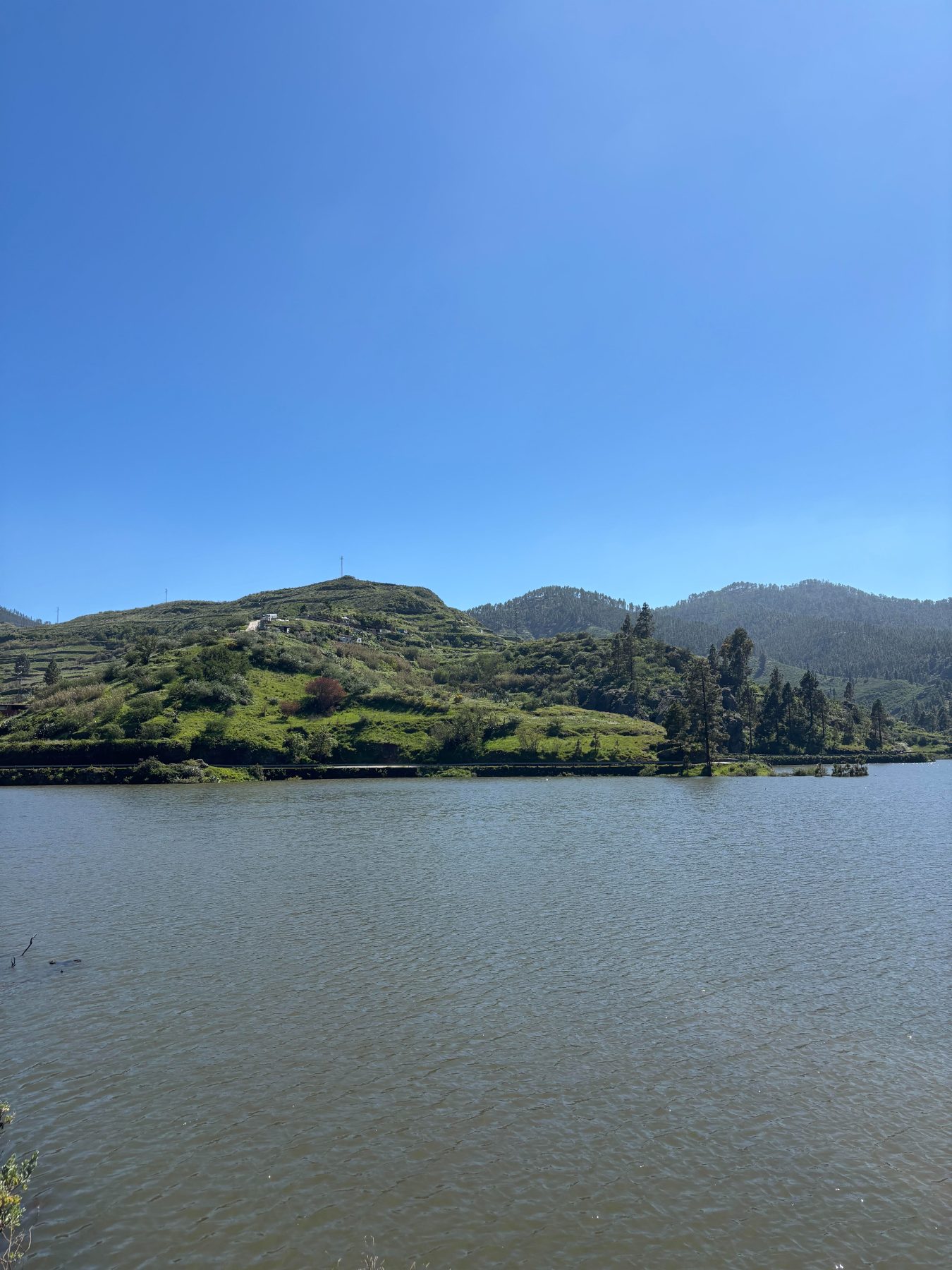 Primavera en la cumbre