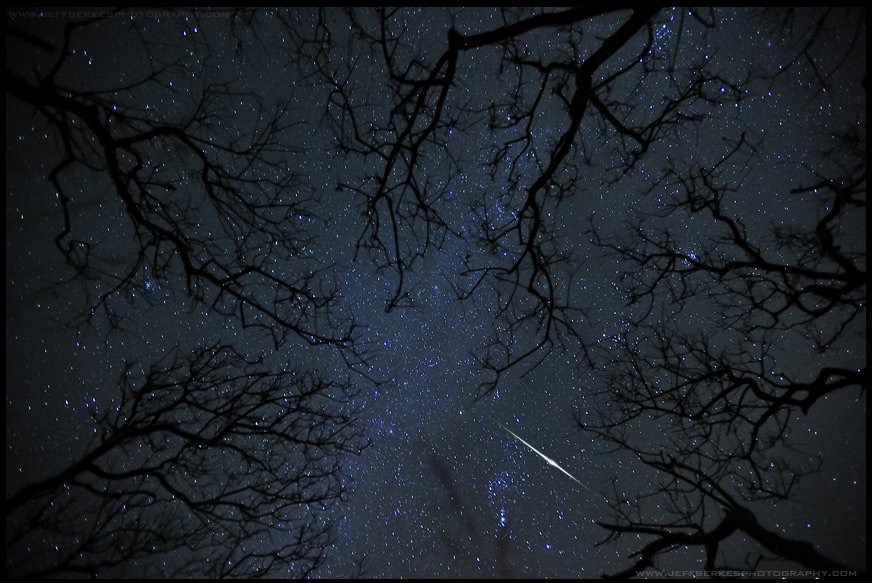 Verano / noches estrelladas